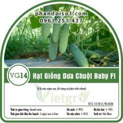 Hạt Giống Dưa Chuột Baby F1 - VG14