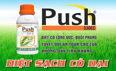 Push 330EC (240ml) - Thuốc đặc trị cỏ lồng vực và cỏ đuôi phụng
