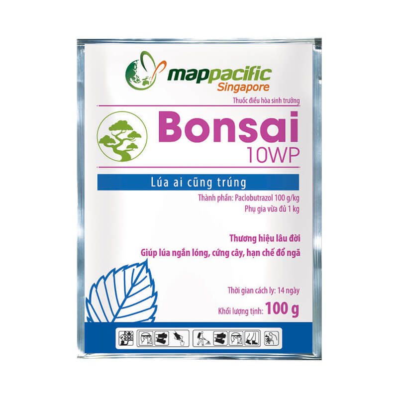 Bonsai 10WP (100g) - Thuốc điều hòa sinh trưởng