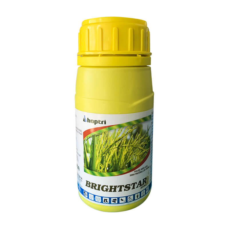 BrightStar 25SC (250ml) - Thuốc điều hòa sinh trưởng