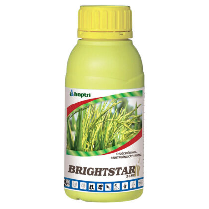 BrightStar 25SC (500ml) - Thuốc điều hòa sinh trưởng
